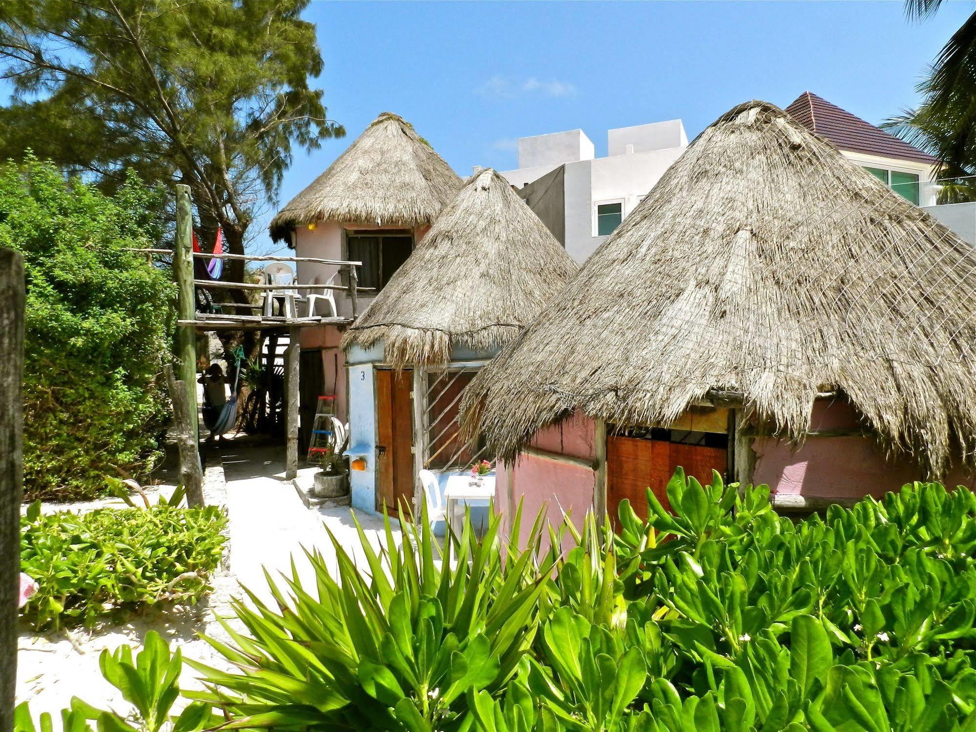 Acamaya Reef Cabanas Puerto Morelos Dış mekan fotoğraf