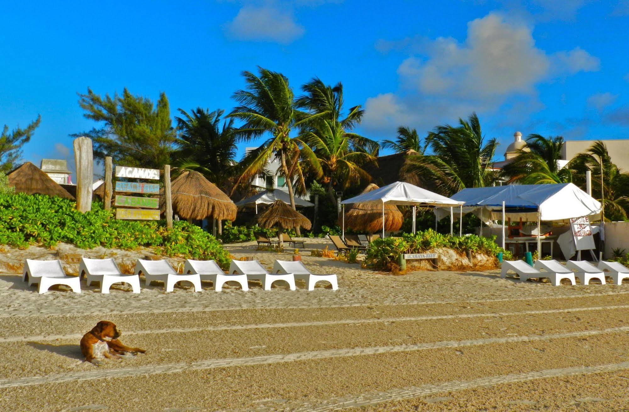 Acamaya Reef Cabanas Puerto Morelos Dış mekan fotoğraf